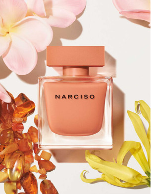 Narciso Ambrée Edp